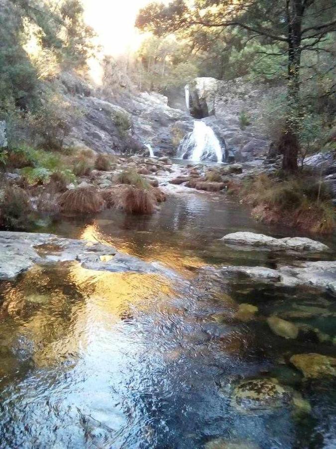 Viana Do Castelo - Amonde Village Casa P - Conforto Qualidade Natureza Εξωτερικό φωτογραφία
